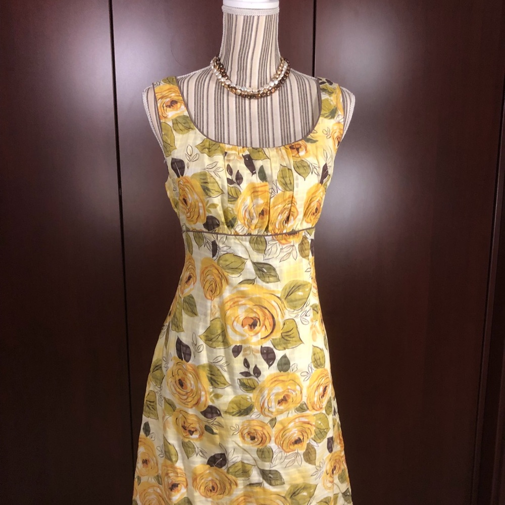 Perfect Fall Cotton Dress by CABi, lined, size 8